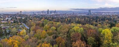 View over Frankfurt